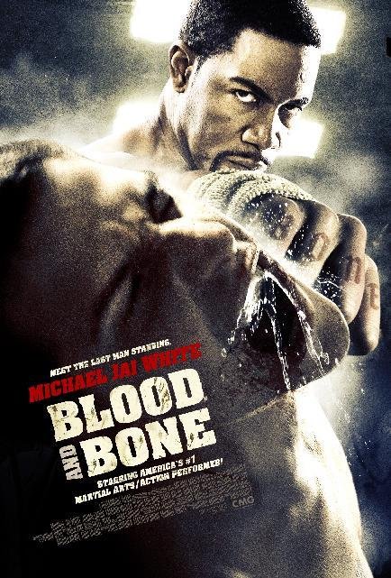 دانلود فیلم خون و استخوان (Blood and Bone 2009)